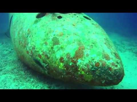 Wreck Diving Tribird Boracay Island. Philippines. 2016