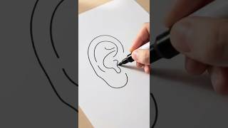 How to Draw an Ear: Easy Step-by-Step Tutorial