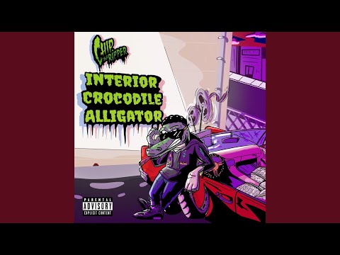 Interior Crocodile Alligator Freestyle