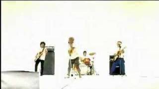 taiyozoku - himawari