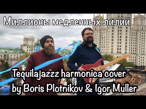 Millions of Slow Lilies - Tequilajazzz harmonica cover by Boris Plotnikov & Igor Muller