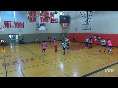 Dragons 56 vs Ali&friends 52 - sunday tier 2 - tcbl 2022 summer