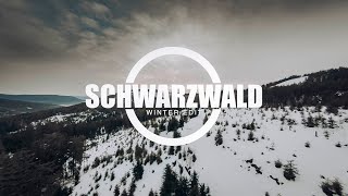 SCHWARZWALD - FPV - [4K]