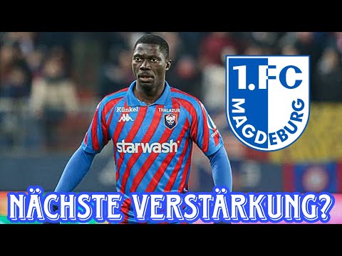 Didi Gaucho zum FCM? Ersatz für Gnaka?🧐