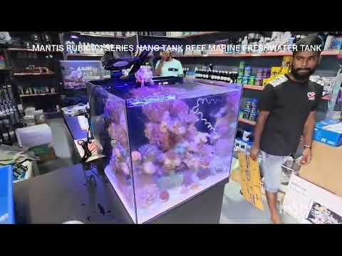 Mantis Rubicon Nano Aquarium Tank