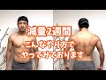 減量2週間経過しました