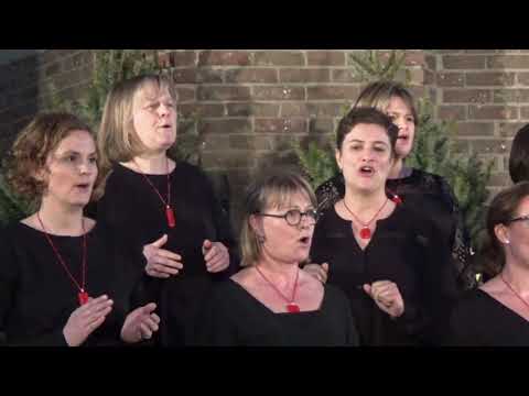 Make a joyful noise (Sally K. Albrecht)