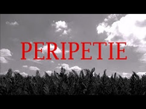 Peripetie - A Short Sci-fi Film