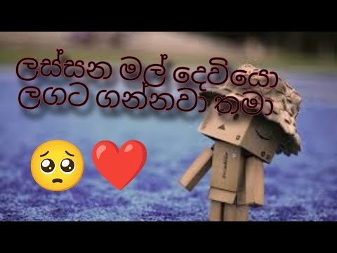 parissam karath adare - sidda wechcha hema deyakma(ලස්සන මල් දෙවියො ලගට ගන්නවා තමා)