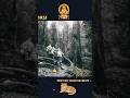 Old Way To Sabarimala Ayyappa Temple Saranam Ayyappan Sharanam Video Song Timings Yatra