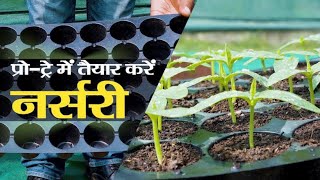 Journey from Seed to Plant l Protray nursery