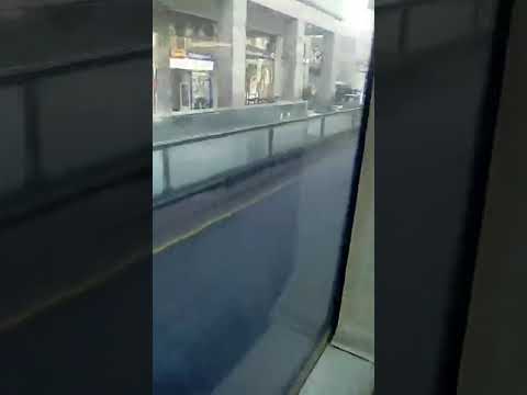 STCP 1793 - Linha 801