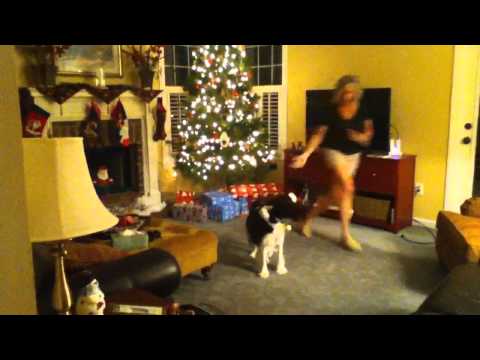 Christmas Tree Disaster