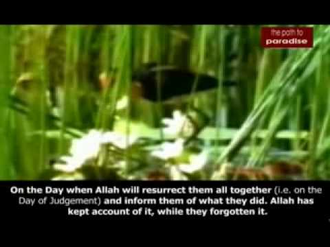 Surah Mujadilah (Rasprava ) -Mishary Rashid