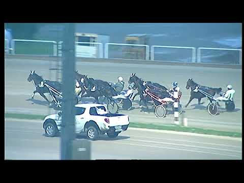 Trotto 01/12/2020 - 7ª corsa