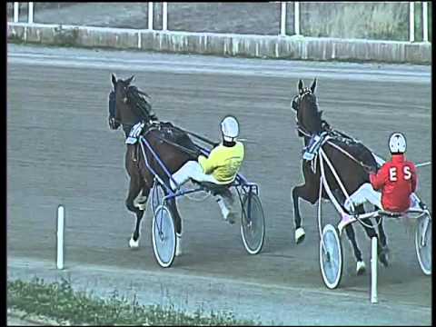 Trotto 26/01/2016 - 4° corsa