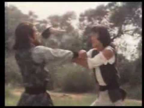 The World of Drunken Master