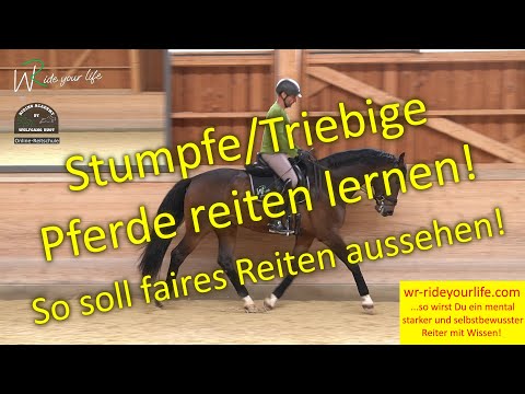 F186 Learning to ride impulsive or dull horses. Why are horses impulsive? Tips for fair riding!