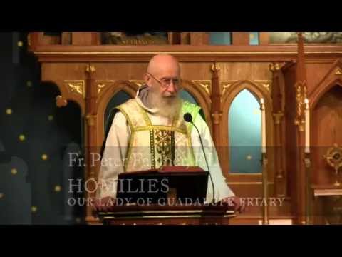 Jul 15 - Homily - Fr Peter: St. Bonaventure, Theologian and Second Founder