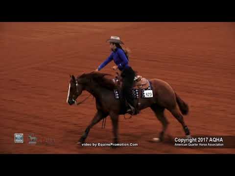 2017: AQHA Youth World Prelims - Madison Gustin
