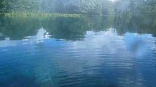 Silver River (Florida) Canoe trip