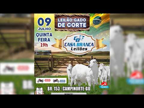 LEILÃO GADO DE CORTE CASA BRANCA LEILÕES -  CAMPINORTE - GO  09 /07 / 2026