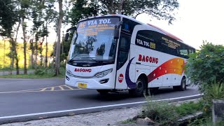 Download lagu Bus Bagong Raja Blong Di Persimpangan Kediri mp3 Download lagu Bus Bagong Raja Blong Di Persimpangan Kediri mp3