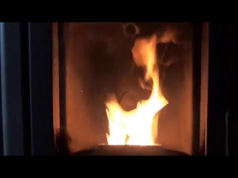 Energiesparmeister 2007 Ein Pelletofen Heizt Das Ganze Haus 2 6