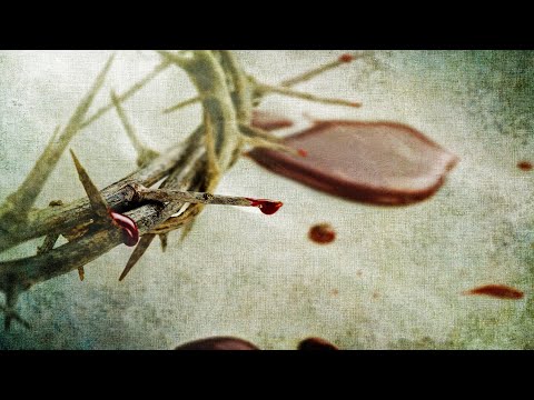 Versöhnung mit Gott - Teil 2: Die Sache mit dem Sündenbock