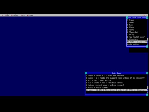 Using Twin as a X window manager? Well yes but actually no...