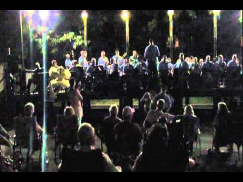 Aqua String Band 2011 Mummers Museum - Down On The Farm