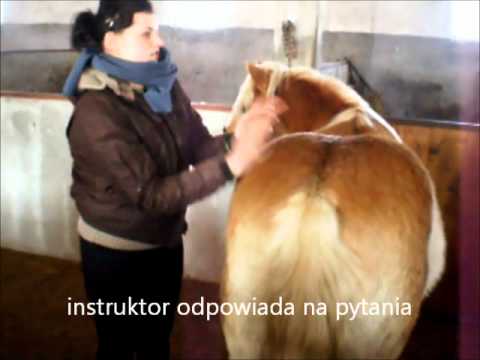 download lagu mp3 mp4 Kurs Masau Koni, download lagu Kurs Masau Koni gratis, unduh video klip Kurs Masau Koni