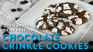 Gluten-Free, Dairy-Free Chocolate Crinkle Cookie Recipe | gf explorers