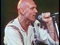 Read About It - Midnight Oil 