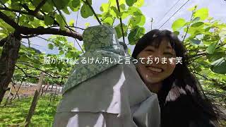 やっぱ地元がいいよねえ1【日韓夫婦】【한일부부】