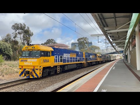 Pacific National Freight - 6PM6 - NR64, NR121, NR103, G538