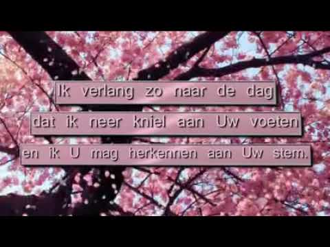 Ooit komt er een dag   Opwekking 665 lyrics