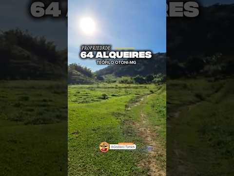 EXCELENTE PROPRIEDADE 64 ALQUEIRES TEÓFILO OTONI-MG R$ 3.200.000,00 #fazenda #gado #agro #minas