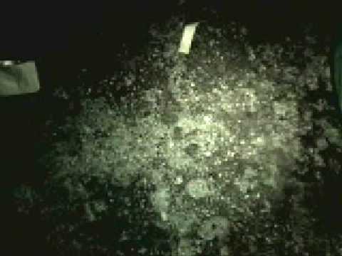 Video thumbnail — WWW.MARINECREATURES.COM Nesting Leatherback Sea Turtle Close Up