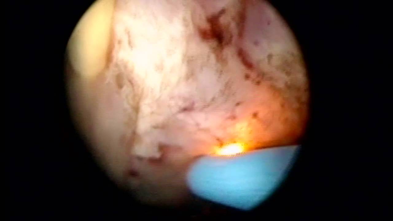 Enrique Pulido Contreras-36