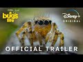 A Real Bug S Life Official Trailer Disney Singapore