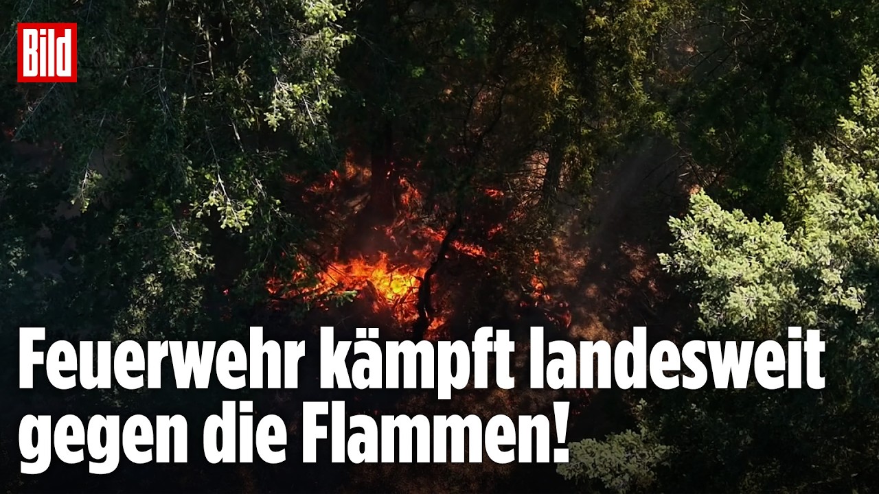 Waldbrände in Deutschland: Jetzt brennen schon sechs Bundesländer!