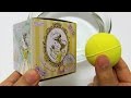 ASMR Prize Bath Bomb 279 Beauty And The Beast