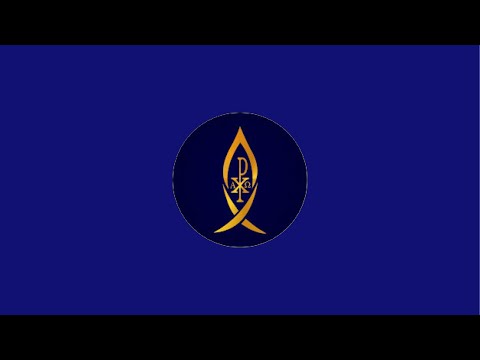 AD UNIÃO DOS PALMARES está ao vivo!