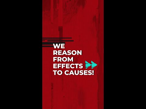 vp-g13