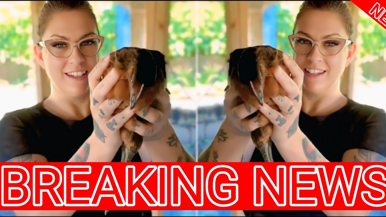 Thumbnail Download HD Thumbnail (1280x720)