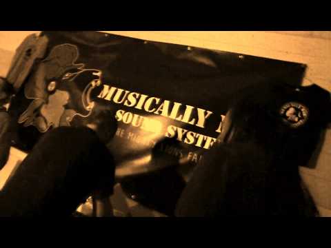 TEMPLE DUB #5 - MUSICALLY MAD feat. RAS DIVARIUS ▶ "I'm Alright Riddim" [Dubbing Wild Records] ①