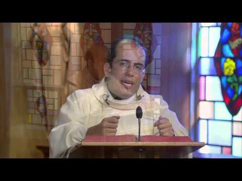A Saint falls, and gets up again | Homily: Fr Suarez
