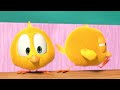 Where's Chicky? Funny Chicky 2023 | SEASON 1 | Cartoon in English for Kids | New episodes