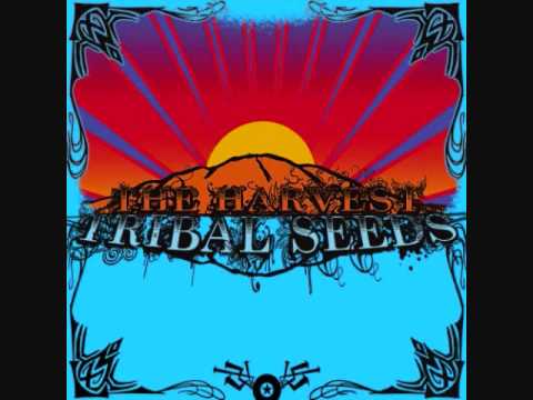 Tribal Seeds - Libertad (ft. Dready)